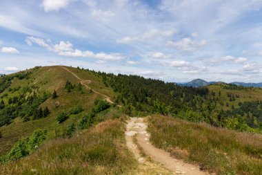 Summer Slovak Mountain Great Fatra, Velka Fatra, peaks Nova Hola (1361 m) and Zvolen (1403 m), views from them, Slovakia