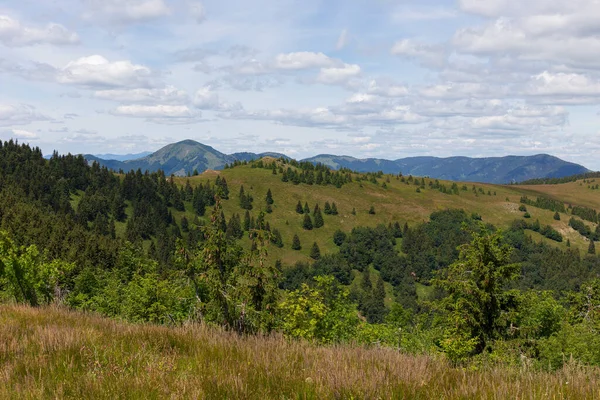 Summer Slovak Mountain Great Fatra Velka Fatra Peaks Nova Hola — Stock fotografie