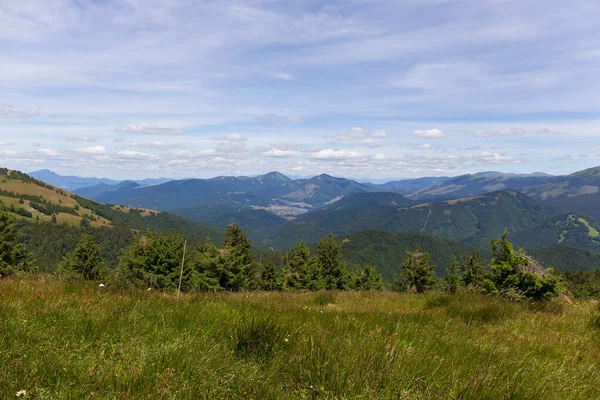 Summer Slovak Mountain Great Fatra Velka Fatra Peaks Nova Hola — Foto Stock