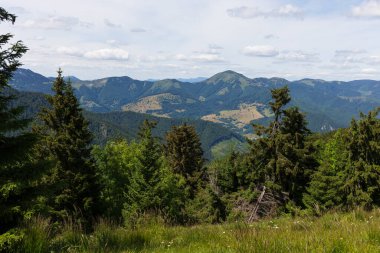 Yaz Slovakya Dağı Büyük Fatra, Velka Fatra, Nova Hola (1361 m) ve Zvolen 'in (1403 m) zirvelerine ulaşır.