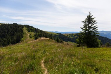 Yaz Slovakya Dağı Büyük Fatra, Velka Fatra, Nova Hola (1361 m) ve Zvolen 'in (1403 m) zirvelerine ulaşır.