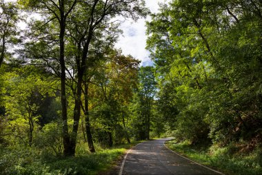Orta Bohemya 'dan güzel sonbahar doğası, Dolni Zimor, Çek Cumhuriyeti