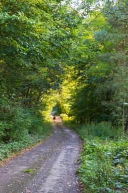 Orta Bohemya 'dan güzel sonbahar doğası, Dolni Zimor, Çek Cumhuriyeti