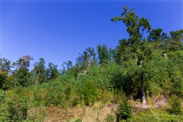 Schöne Herbstnatur Der Sandsteinlandschaft Aus Mittelböhmen Dolni Zimor Tschechien — Stockfoto