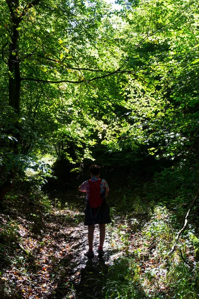 Prachtige Herfst Natuur Het Zandsteen Landschap Uit Het Centrum Van — Stockfoto