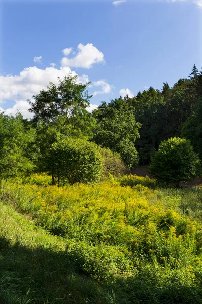 Beautiful Autumn Nature Sandstone Landscape Central Bohemia Dolni Zimor Czech — Stock Photo, Image