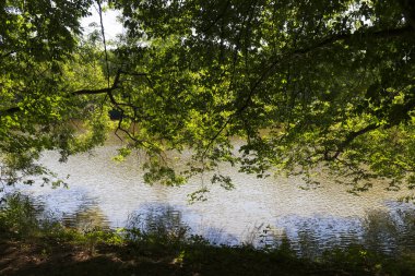 Çekoslovakya 'nın ortasından Sazava Nehri etrafındaki güzel ağaçlar 