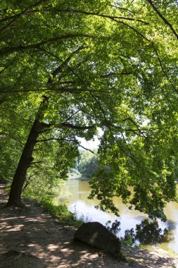Çekoslovakya 'nın ortasından Sazava Nehri etrafındaki güzel ağaçlar 