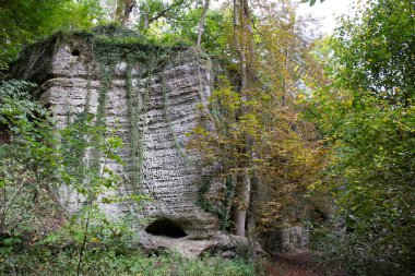 Merkez Bohemya, Harasov, Kokorinsko, Çek Cumhuriyeti 'nde kumtaşı kayaları ve yeşil doğa ile korunan alan.