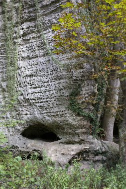 Merkez Bohemya, Harasov, Kokorinsko, Çek Cumhuriyeti 'nde kumtaşı kayaları ve yeşil doğa ile korunan alan.