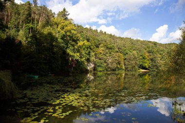 Merkez Bohemya, Harasov, Kokorinsko, Çek Cumhuriyeti 'nde kumtaşı kayaları ve yeşil doğa ile korunan alan.