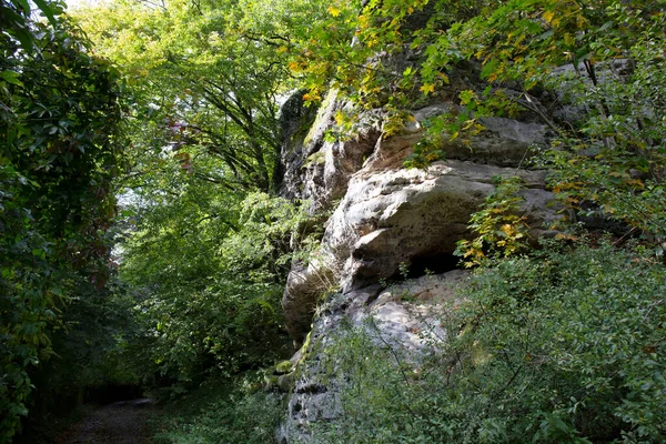 Protected Landscape Area Sandstone Rocks Green Nature Central Bohemia Harasov — Stock Photo, Image