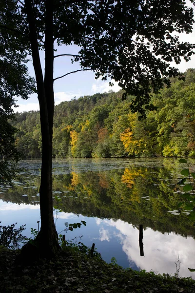 Área Paisagem Protegida Com Arenito Rochas Verde Natureza Boêmia Central — Fotografia de Stock