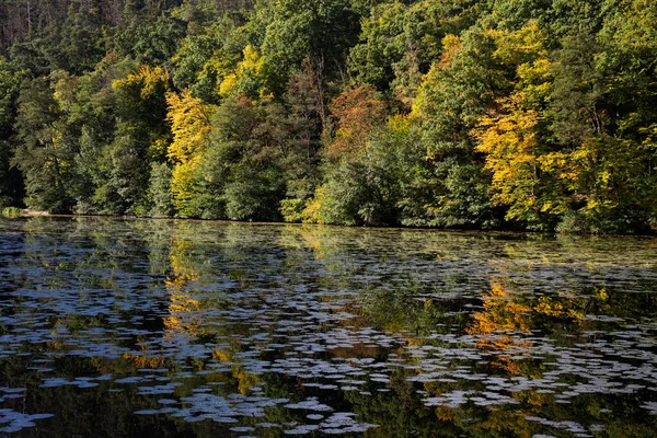 Beschermd Landschapsgebied Met Zandsteen Rotsen Groen Natuur Midden Bohemen Harasov — Stockfoto