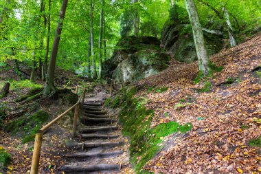 14. yüzyılın ilk yarısında Kokorin Kalesi ve etrafındakiler. Gotik kale Çek Cumhuriyeti 'nin Orta Bohem Bölgesi' nde korunan Kokorin köyünde yer almaktadır.