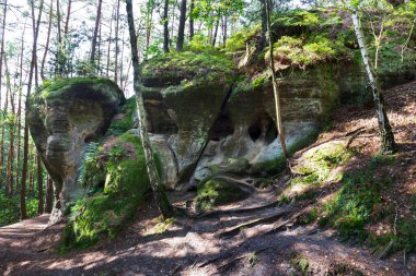 14. yüzyılın ilk yarısında Kokorin Kalesi ve etrafındakiler. Gotik kale Çek Cumhuriyeti 'nin Orta Bohem Bölgesi' nde korunan Kokorin köyünde yer almaktadır.