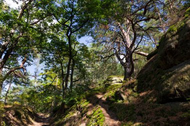 14. yüzyılın ilk yarısında Kokorin Kalesi ve etrafındakiler. Gotik kale Çek Cumhuriyeti 'nin Orta Bohem Bölgesi' nde korunan Kokorin köyünde yer almaktadır.