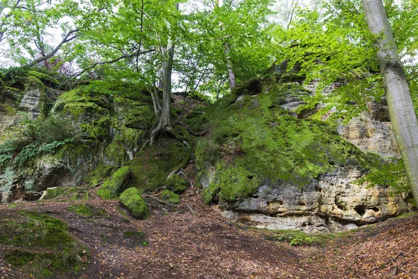 Kokorin Castle 세기초와 주변에서 성이다 고트족 의성은 보헤미아 지역에 보호받고 — 스톡 사진