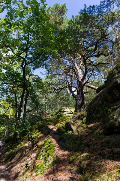 Castillo Kokorin Primera Mitad Del Siglo Xiv Sus Alrededores Castillo — Foto de Stock