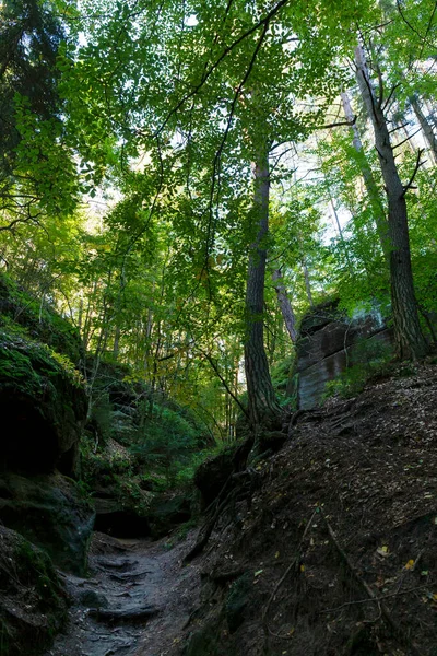 Hrad Kokorín První Poloviny Století Jeho Okolí Gotický Zámek Nachází — Stock fotografie