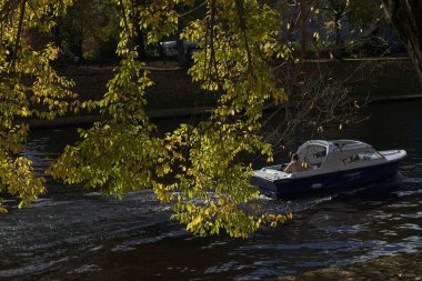 Üzerinde sarı ve yeşil yapraklar bulunan ağaç dalları ve güneşli bir sonbahar gününde Ouse Nehri boyunca seyahat eden küçük bir motorlu tekne, York, Kuzey Yorkshire, İngiltere.