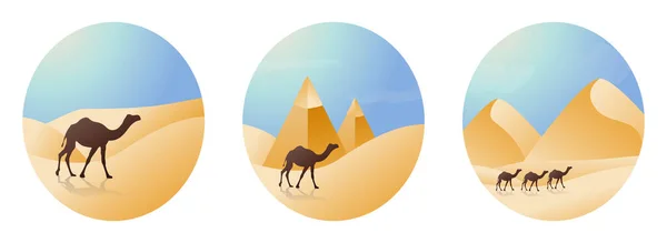 Arabian Desert Camel Pyramid Vector Ilustração Fundo — Vetor de Stock