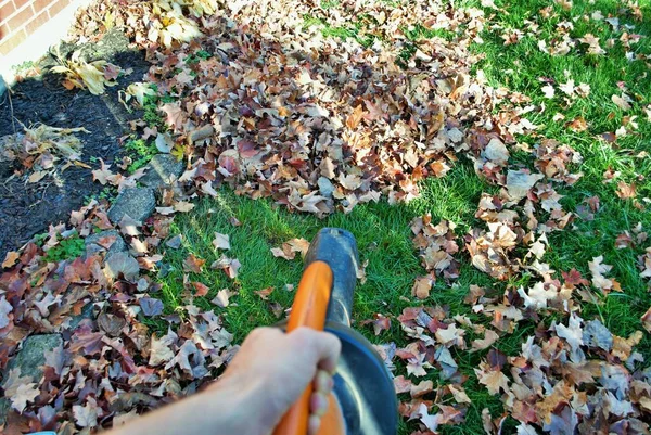 Punto Vista Una Persona Que Usa Soplador Hojas Otoño — Foto de Stock