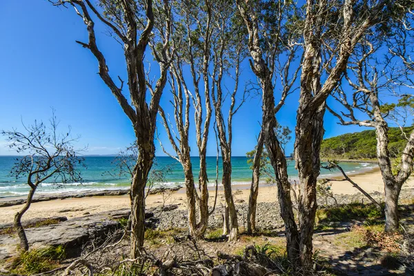 305 Noosa Heads Australia Stock Photos Free Royalty Free Noosa Heads Australia Images Depositphotos