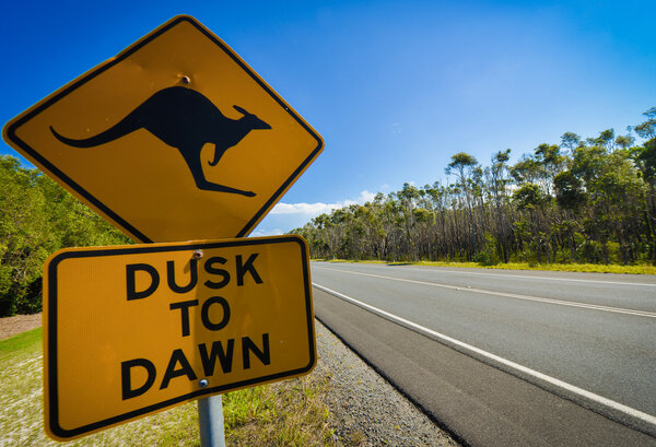 Kangaroo road sign next to a highway, Australia