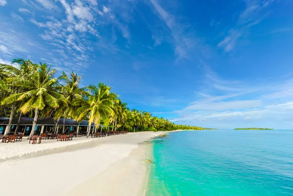 tropik sahil cenneti