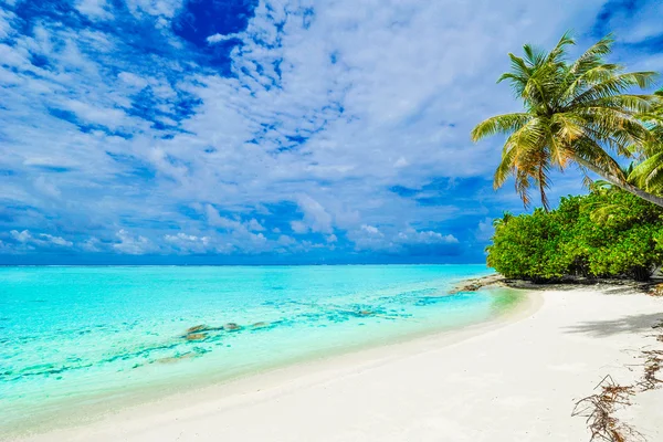 Paraíso de playa tropical — Foto de Stock