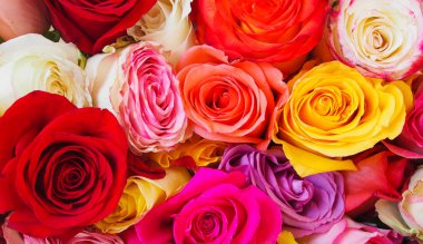 Bir demet renkli gül