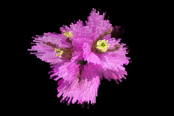 Stylized flower — Stock Photo, Image
