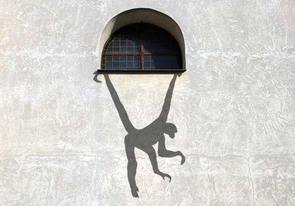 Macaco-sombra Imagem De Stock