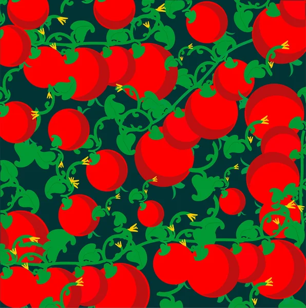 Fond de tomate — Image vectorielle