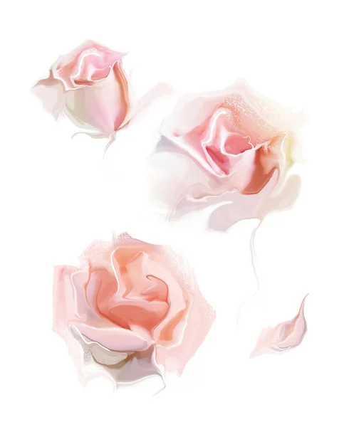 Hermosas flores de rosa — Foto de Stock