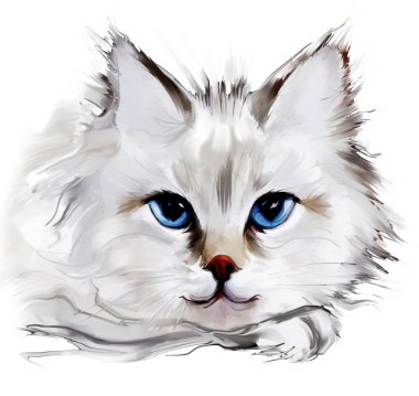 Çizim kedi portre