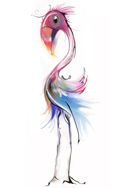 Flamingo illüstrasyon