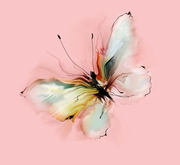 Színes pillangó — Stock Fotó