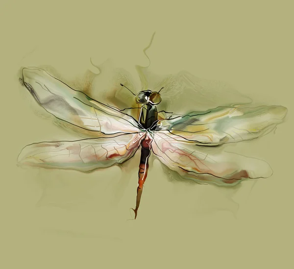 Colorful dragonfly — 图库照片