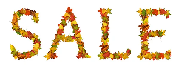 Word Sale arrange with autumn leaves — Stock Photo, Image