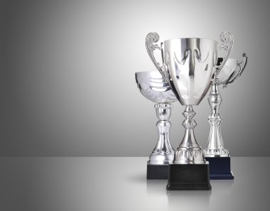 Silver trophies