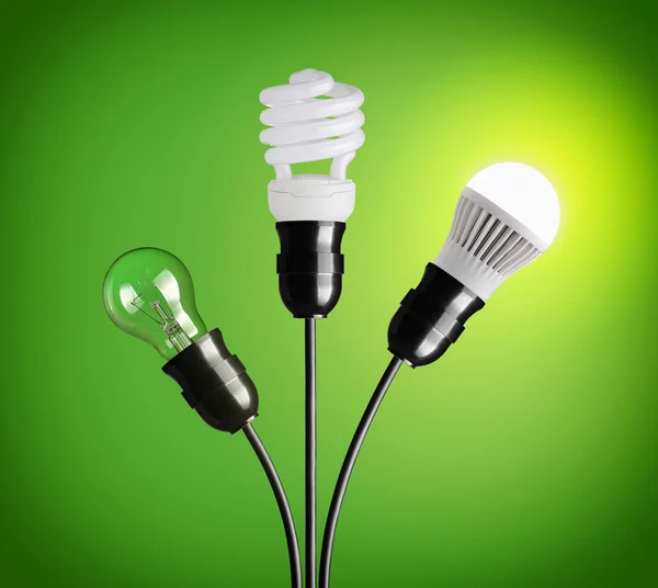 Light bulbs — Stockfoto