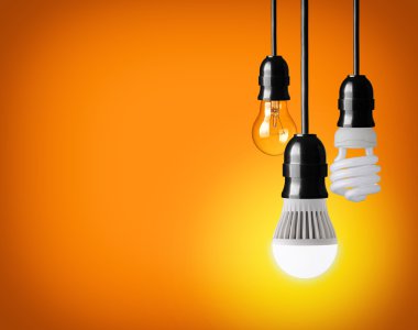 Light Bulbs