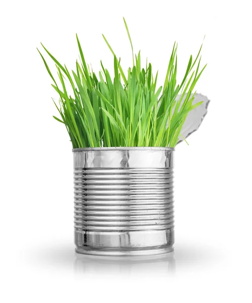 Grass in can — Stock Photo, Image