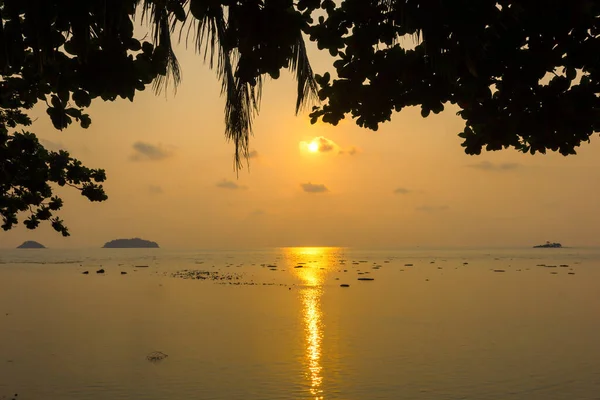 Silhouette Naturale Una Vista Sul Mare Tramonto Con Alberi Incorniciati — Foto Stock