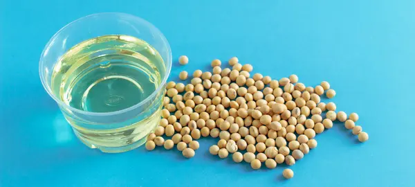 soybean and oil in a bowl on blue background, selective focus.copy space.front view.