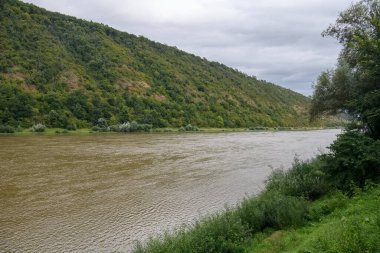 Dniester Nehri, kanyon ve yamaçlarda orman manzaralı güzel bir doğa manzarası. Ukrayna. Yüksek kalite fotoğraf