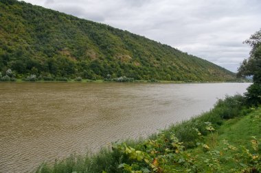 Dniester Nehri, kanyon ve yamaçlarda orman manzaralı güzel bir doğa manzarası. Ukrayna. Yüksek kalite fotoğraf