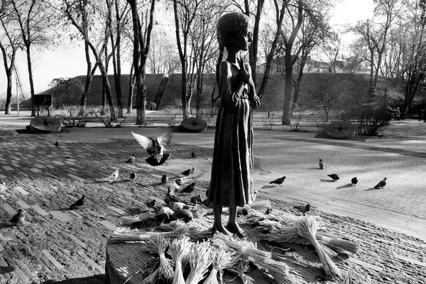 Голуби Летают Памятника Жертвам Голодомора Большой Голод Украине Которые Умерли — стоковое фото